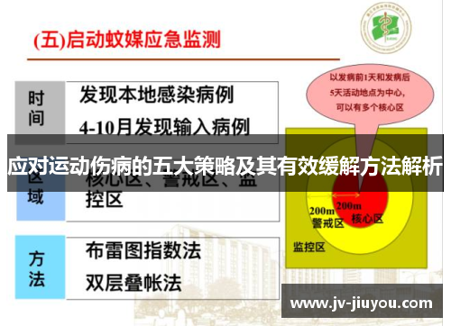 应对运动伤病的五大策略及其有效缓解方法解析 应对运动伤病的五大策略及其有效缓解方法解析