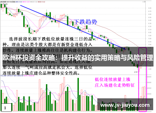 欧洲杯投资全攻略：提升收益的实用策略与风险管理