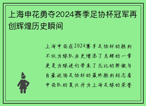 上海申花勇夺2024赛季足协杯冠军再创辉煌历史瞬间