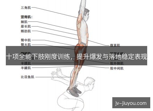 十项全能下肢刚度训练，提升爆发与落地稳定表现